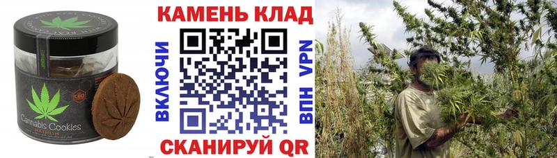 МЕГА рабочий сайт  цены наркотик  Ельня  Печенье с ТГК конопля 