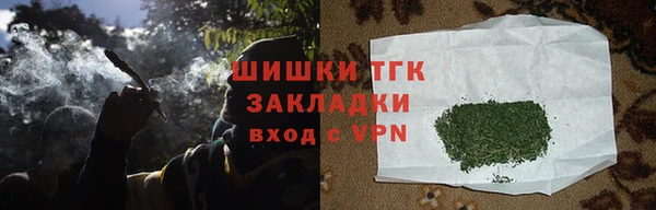 крисы Армянск