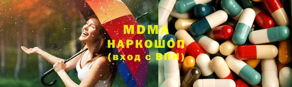 индика Арсеньев