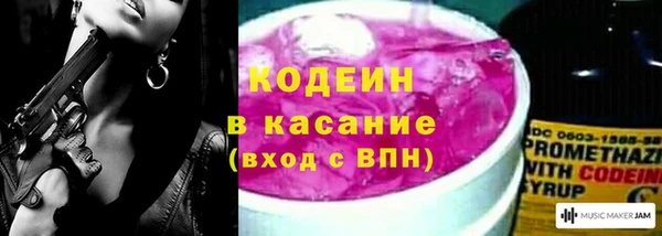 индика Арсеньев