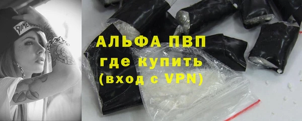 индика Арсеньев