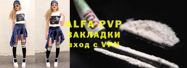 индика Арсеньев