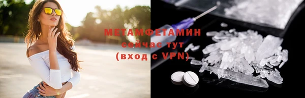 индика Арсеньев
