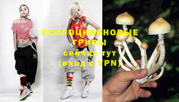 крисы Армянск