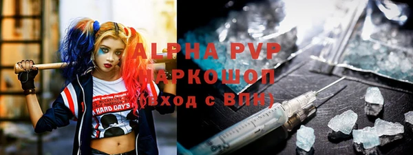 гидра Гатчина