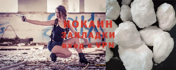 индика Арсеньев