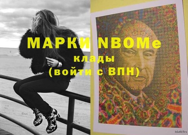 индика Арсеньев