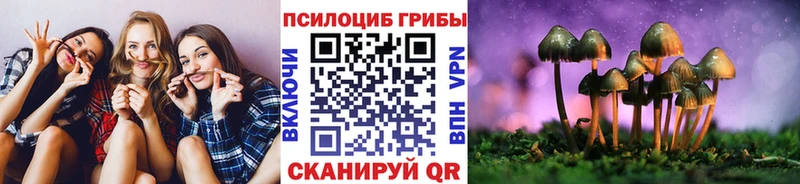 где можно купить   Ельня  Галлюциногенные грибы мухоморы 